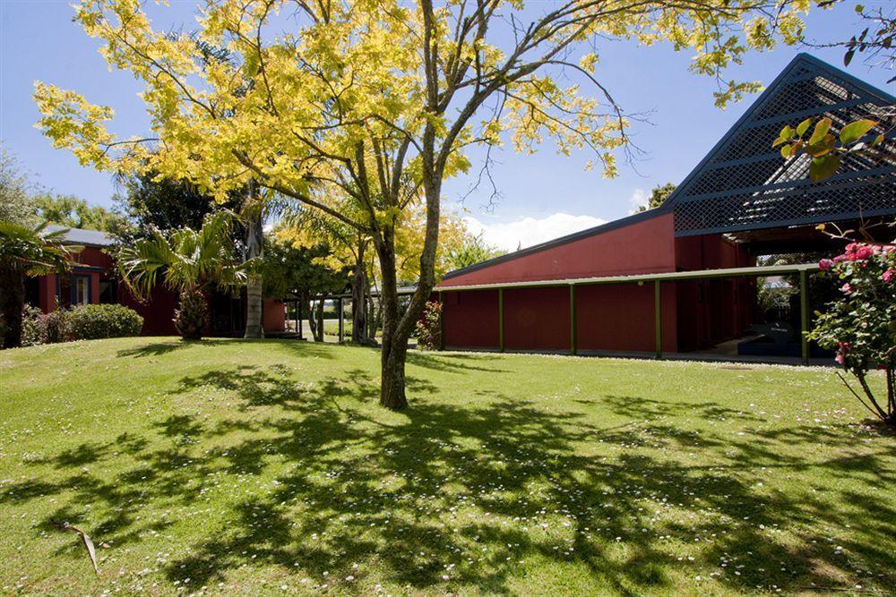 Airport Kiwi Hotel 3*