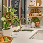Charming 1 Bedroom Apartment In Auckland