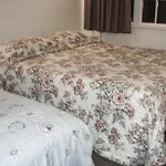 Browns Bay Olive Tree Motel & Apartment