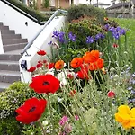 Lush & Co Auckland Bed & Breakfast