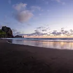Auckland Clifftop