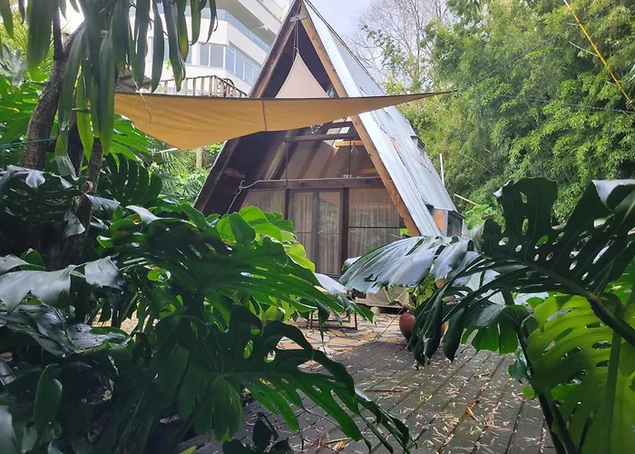 A-Frame Studio In Parnell