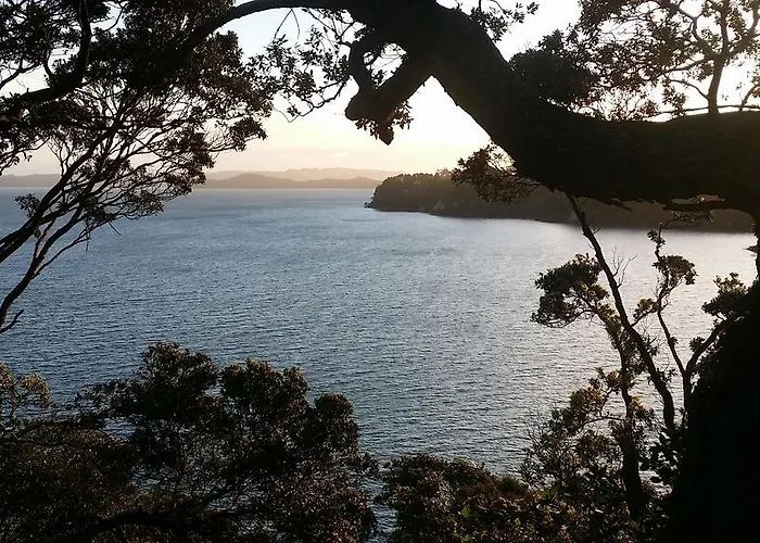 Auckland Clifftop