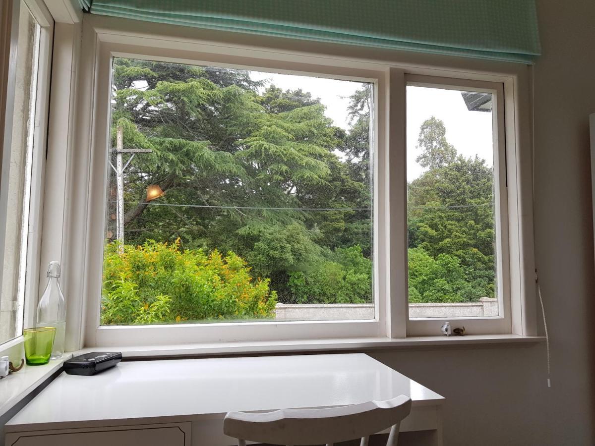 Homestay Pine Auckland