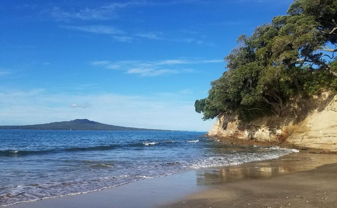 Takapuna Guest house