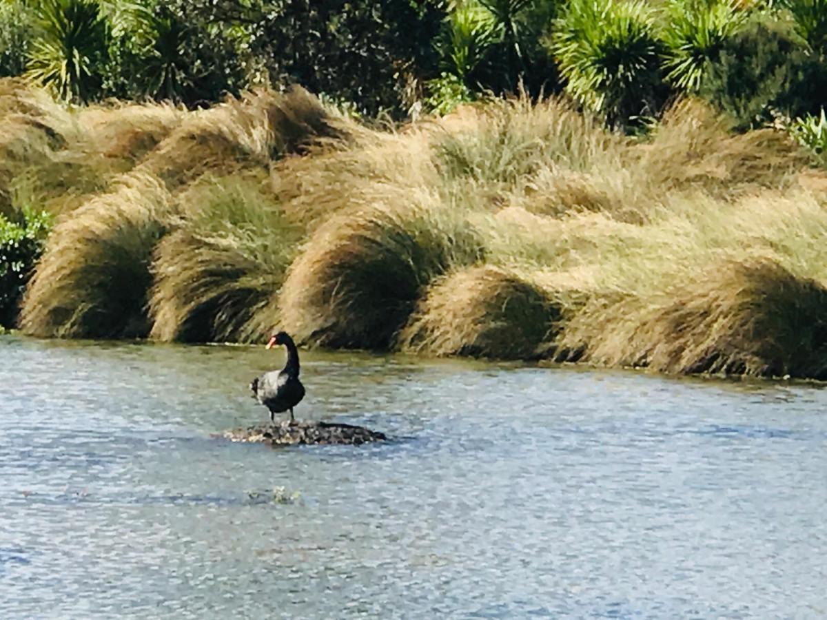 Long Bay Leisure