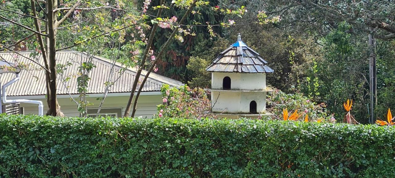 Dovecote House * Auckland