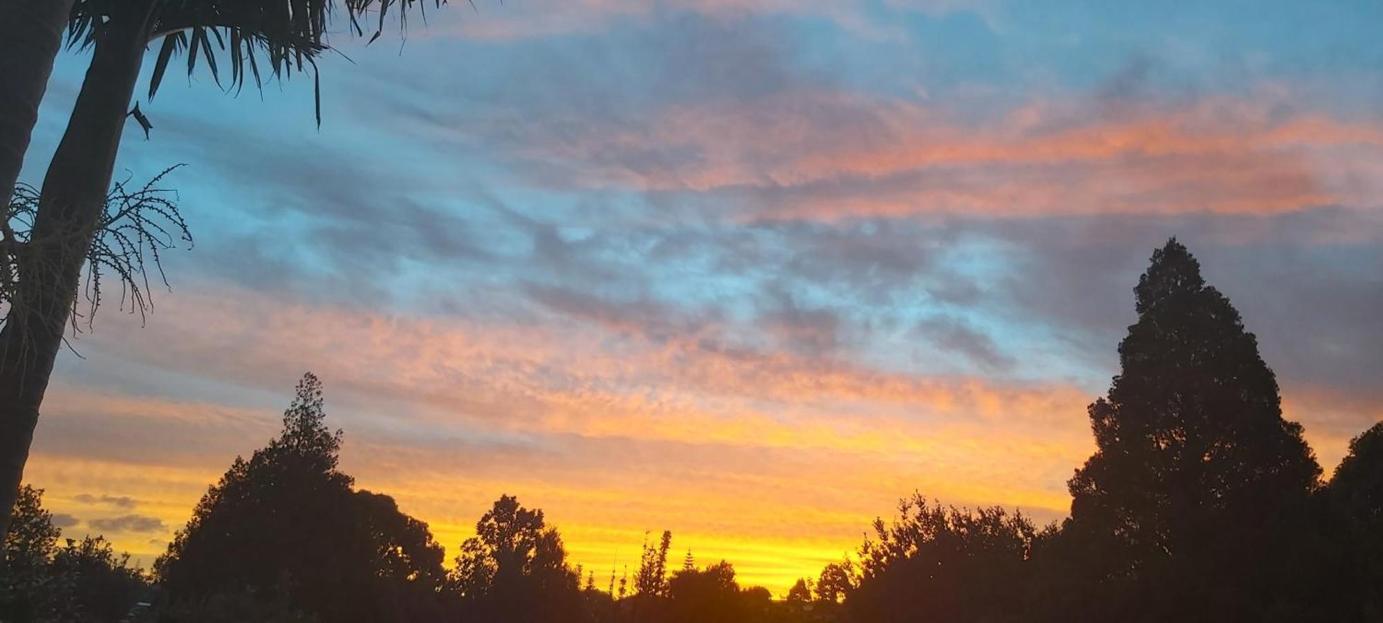 Torbay Bnb Homestay Auckland