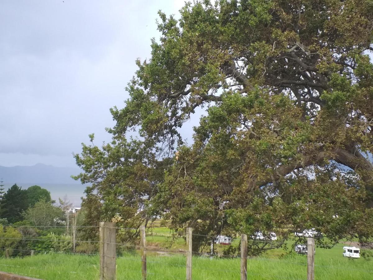 Kaiaua Bayview Farm * Auckland