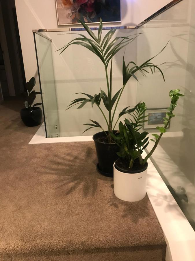 Homestay One Tree Hill Coby Auckland