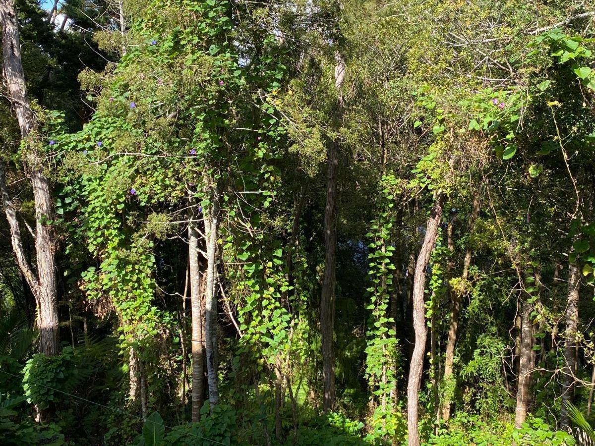 Bush , Birds And Relaxing Moments Homestay *