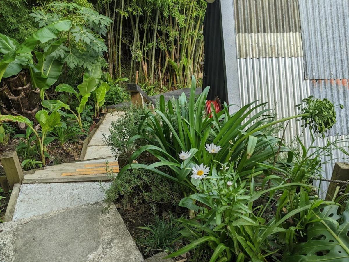 Chalet A-frame Studio In Parnell Auckland