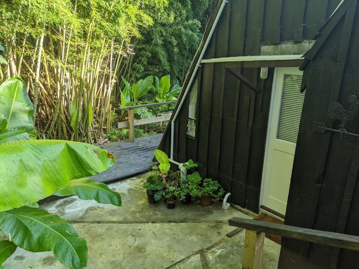 A-frame Studio In Parnell * Auckland