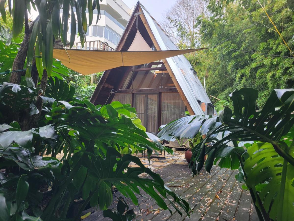 A-frame Studio In Parnell Auckland