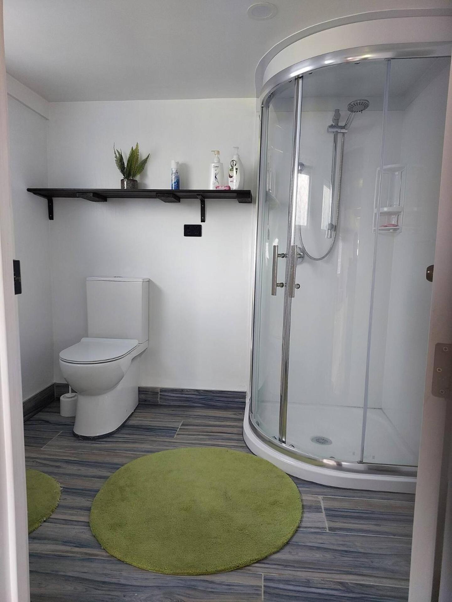 Apartment 1 Bed 1 Bathroom W Parking Wi-fi Netflix Auckland