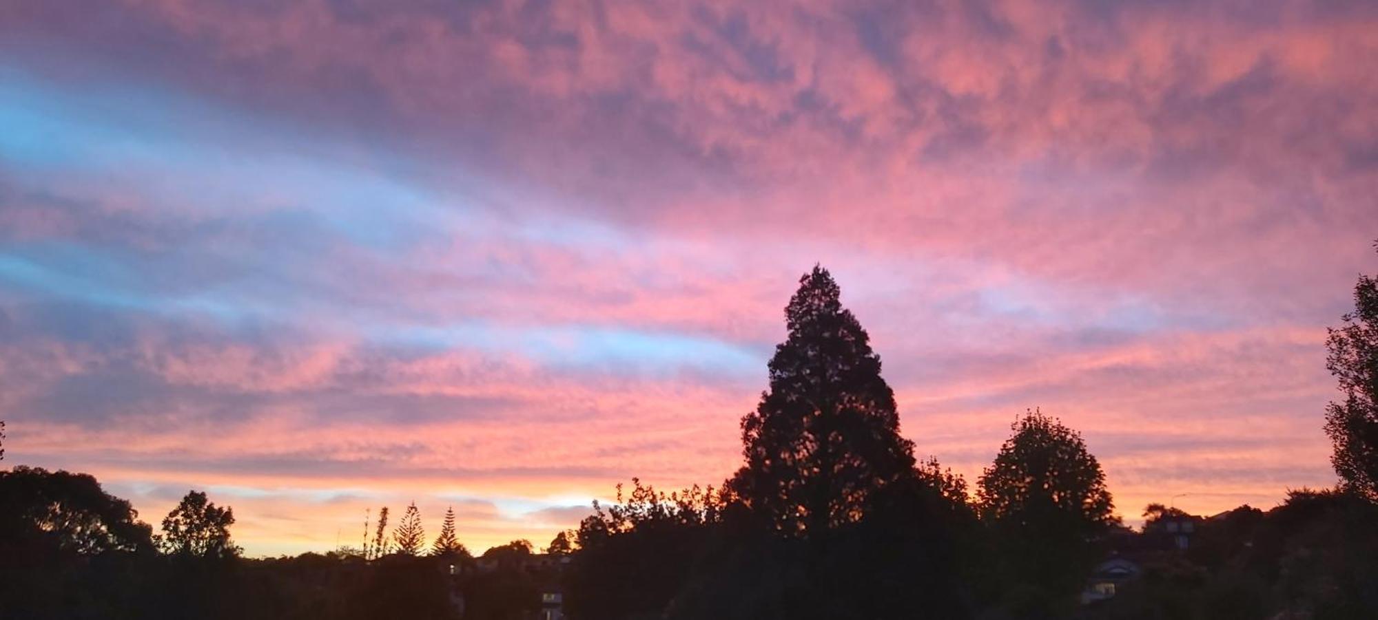 Torbay Bnb Auckland
