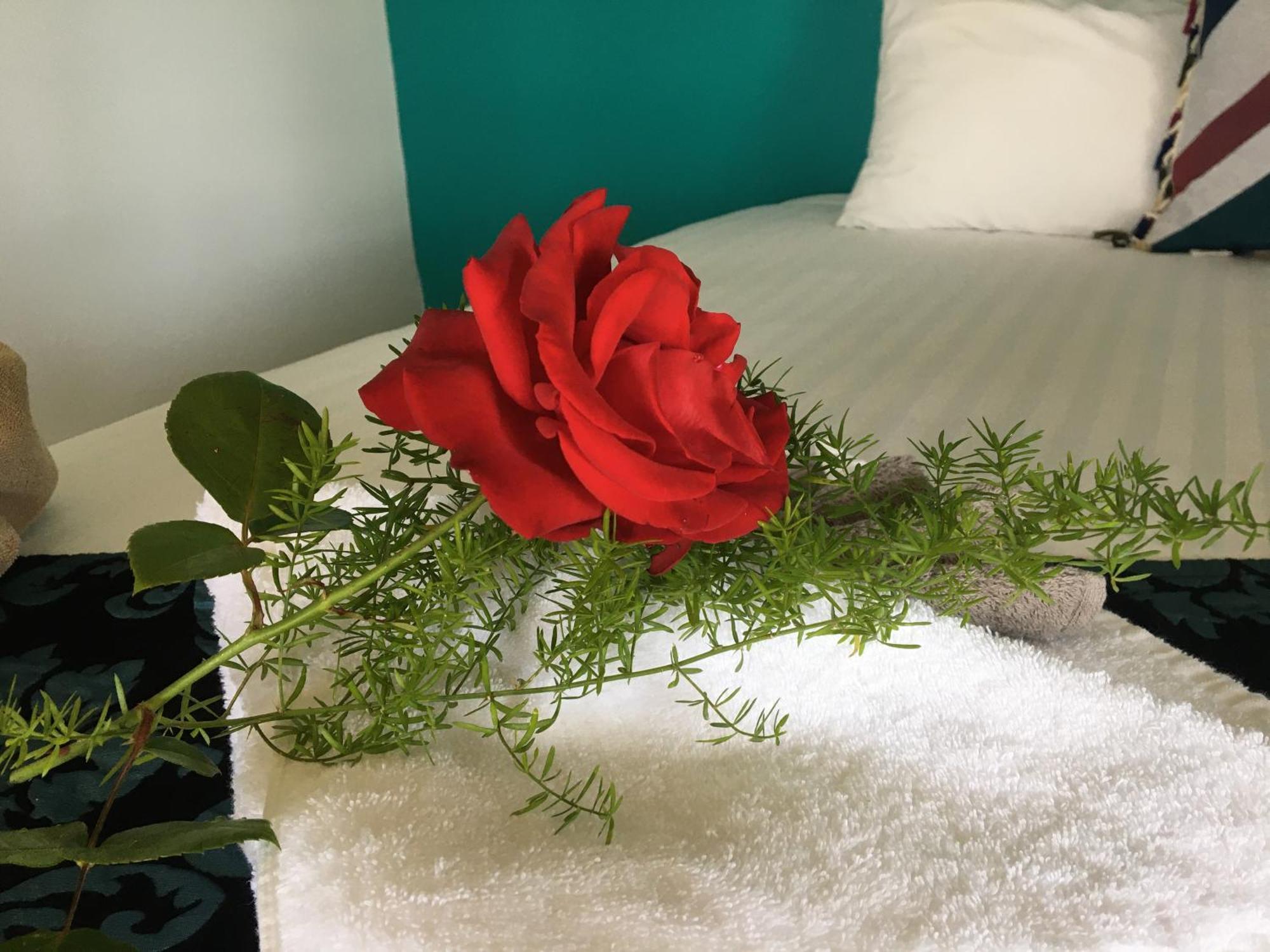 Motel Half Moon Bay 3*