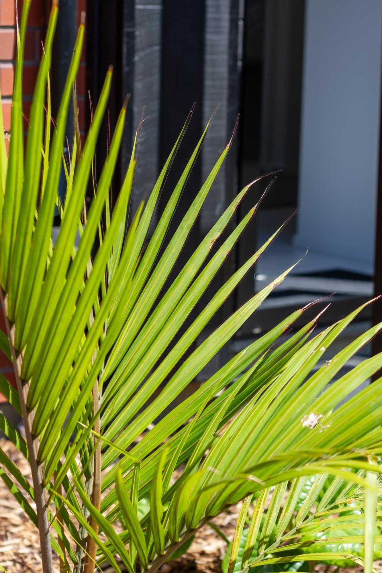 West Retreat 2br Sleeps 4 * Auckland