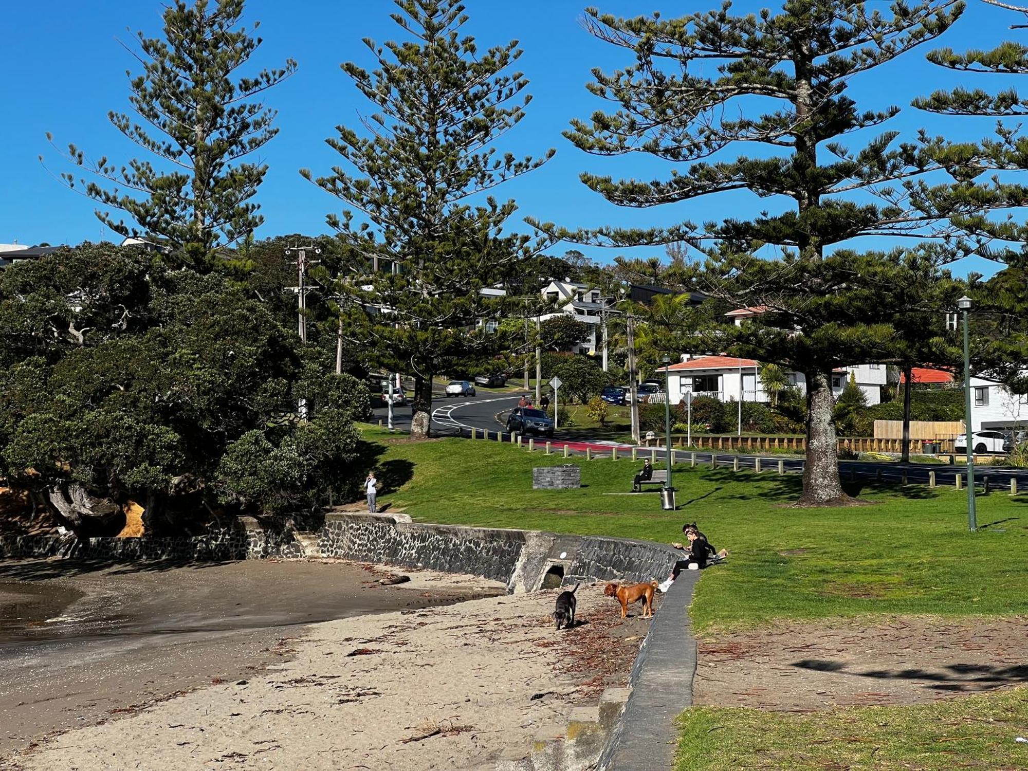 Waiake Auckland