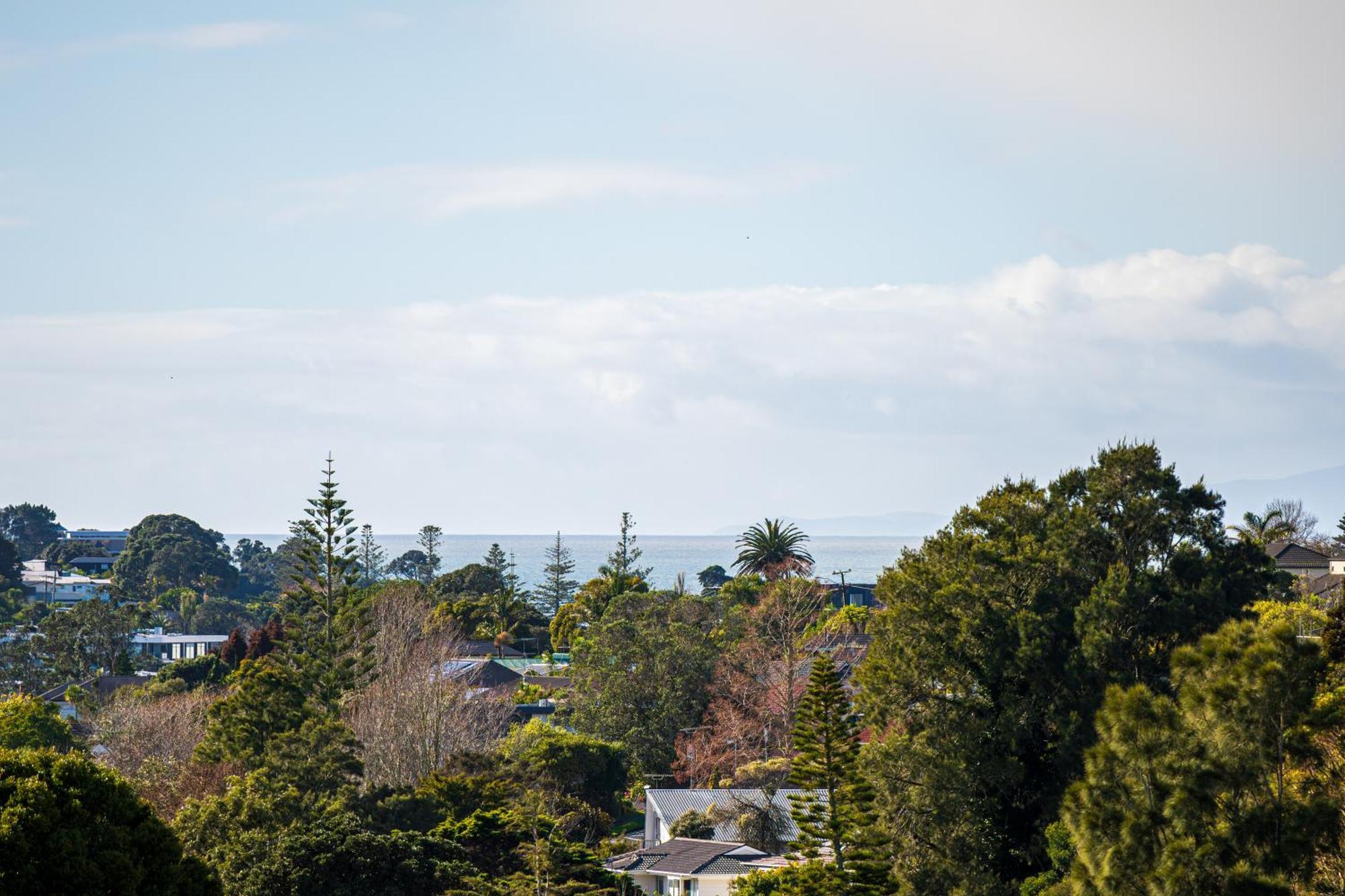 Villa With Pool In Browns Bay