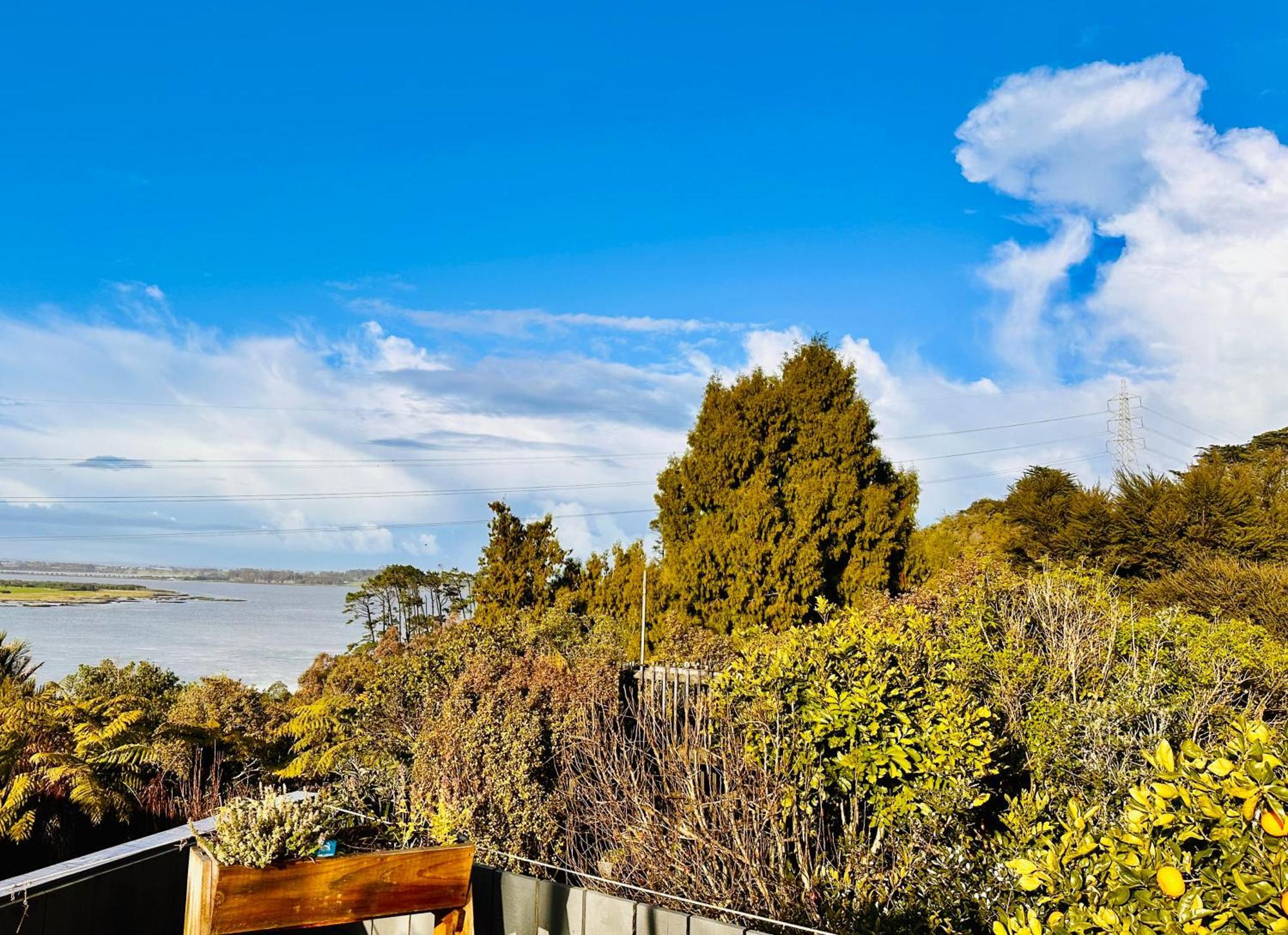 Natures Own Holiday home Auckland