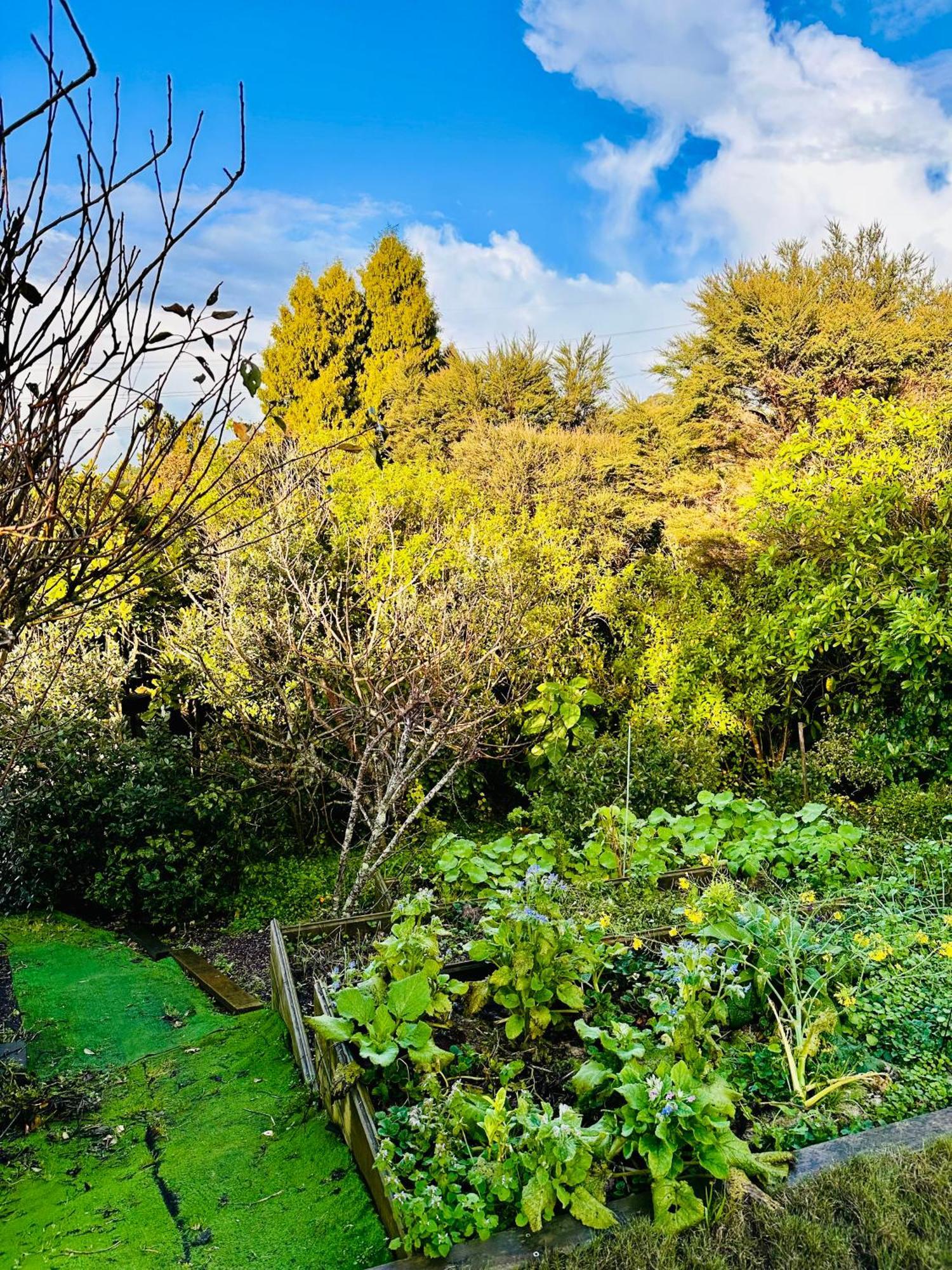 Natures Own Auckland