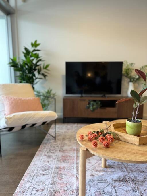 Front Dream Lifestyle * Auckland