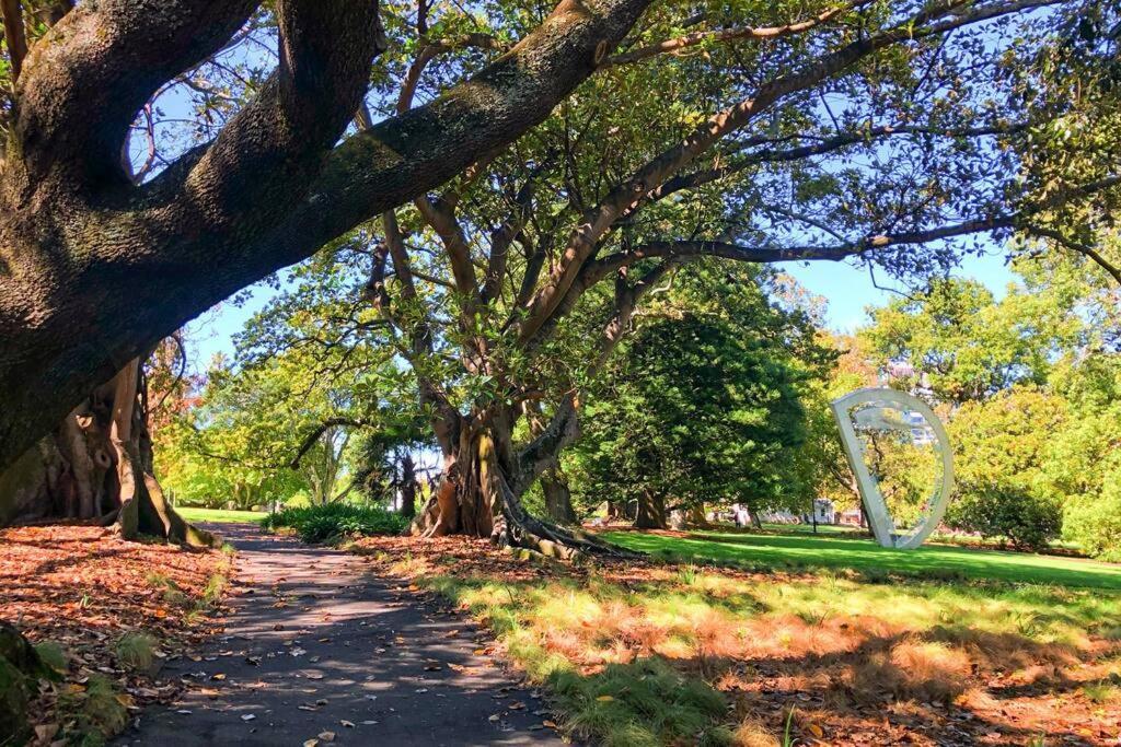 Apartment Park Views, Netflix, Free Wifi! Auckland