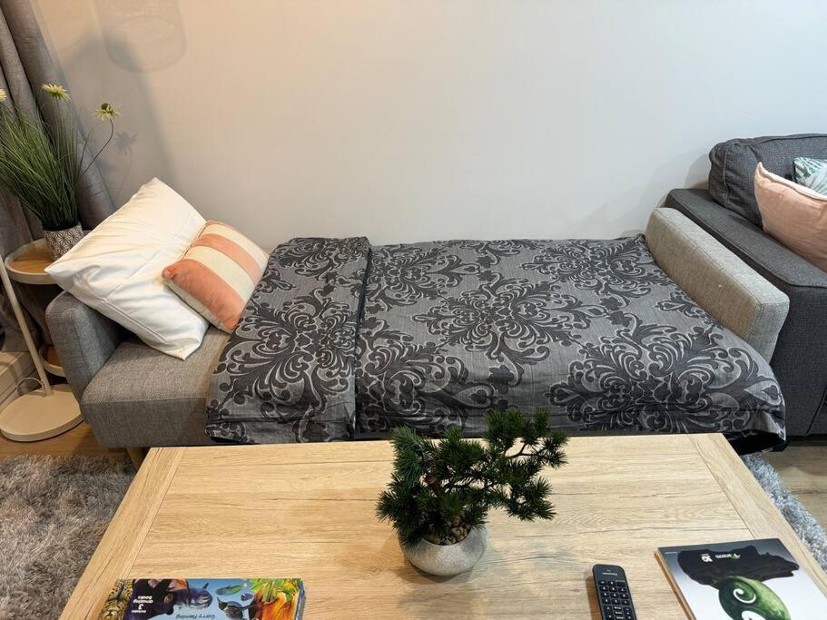 Stunning 3 Bd - 2 Bth - Pool & Carpark