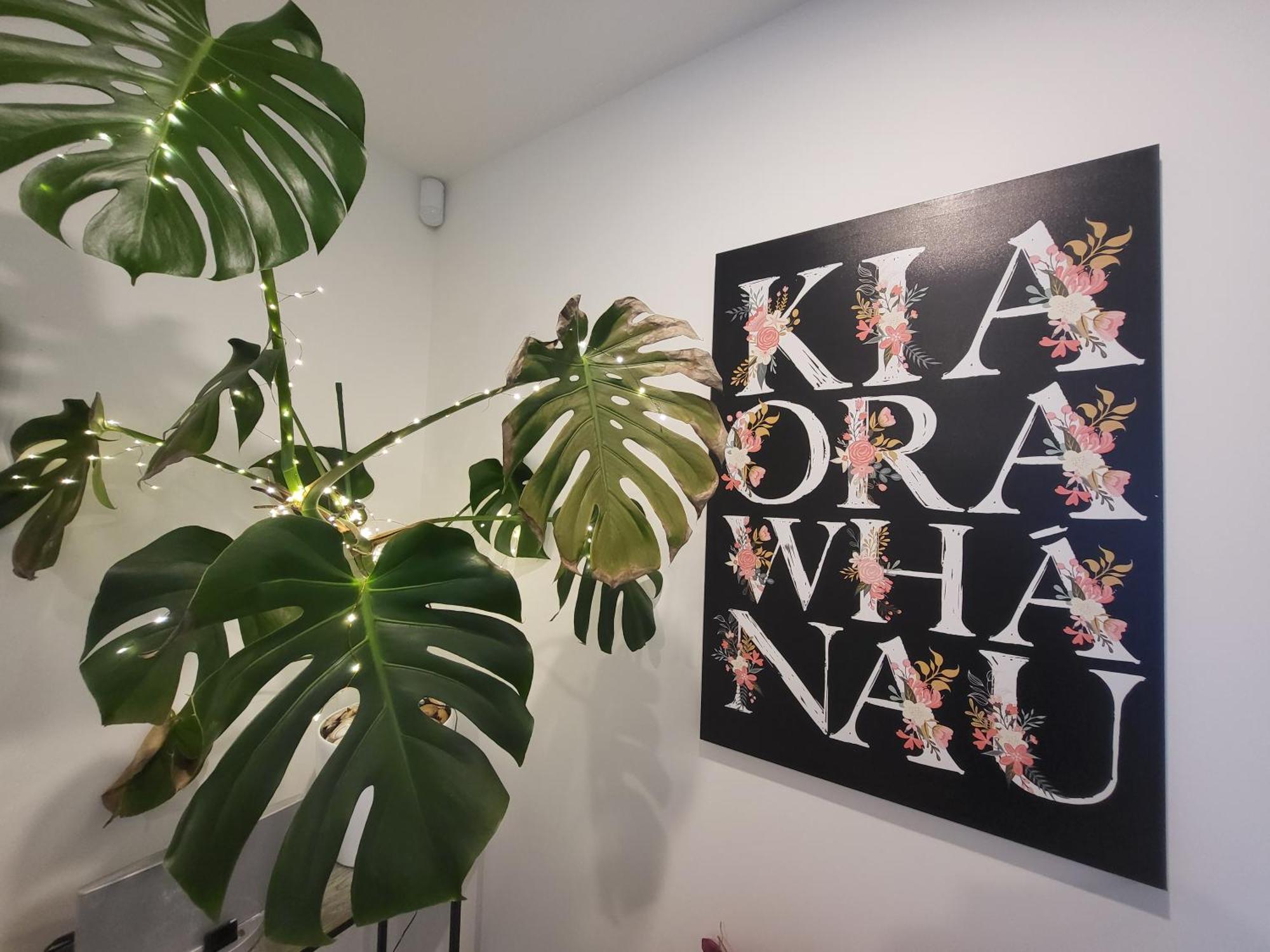 Homestay Bright & Spacious Budget Friendly In West Perfect For Solo Or Couple Travellers Auckland