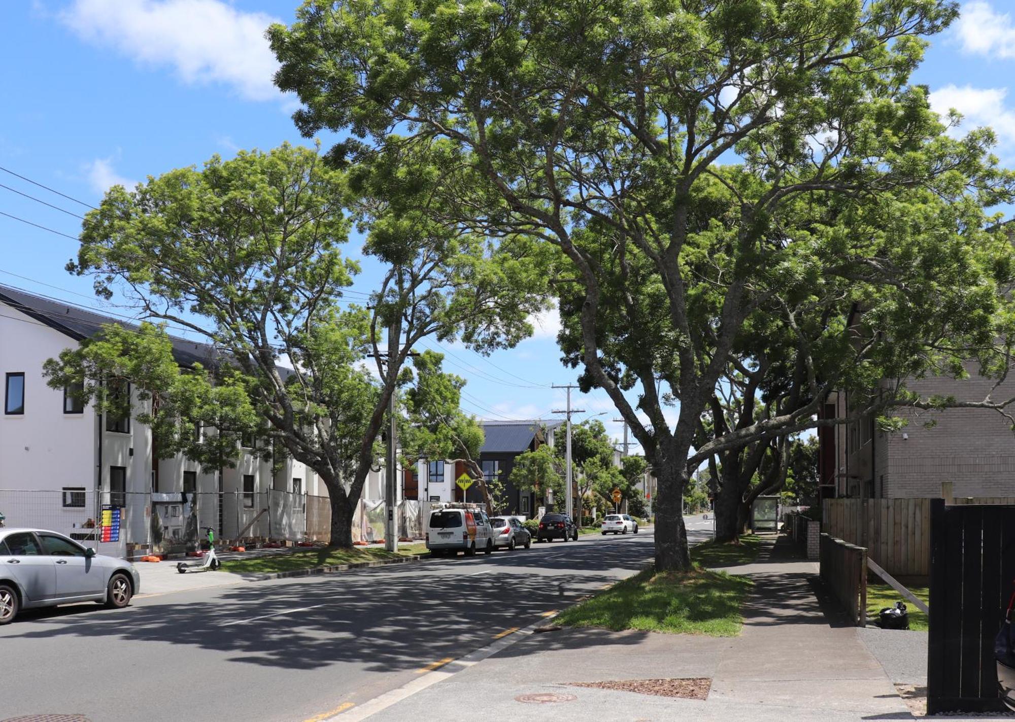 Large Bedroom With Private Bathroom Shared Kitchen And Amenities Auckland