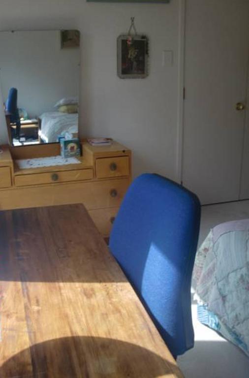 The Haven Bed & Breakfast Auckland