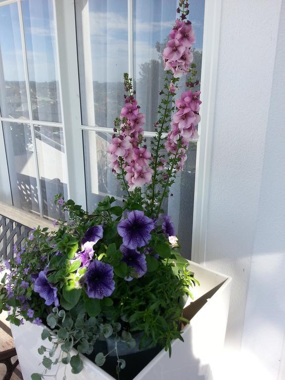 Bed & Breakfast Lush & Co Bed & Breakfast 4*