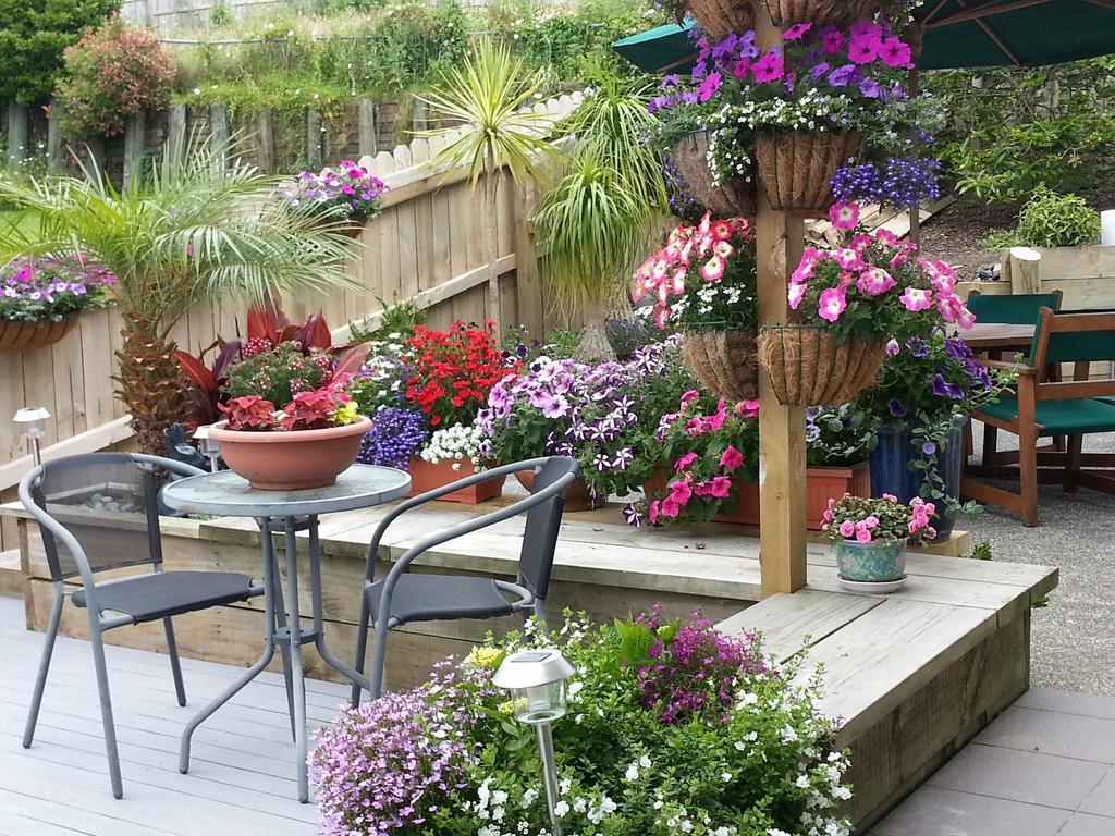Bed & Breakfast Lush & Co Bed & Breakfast 4*