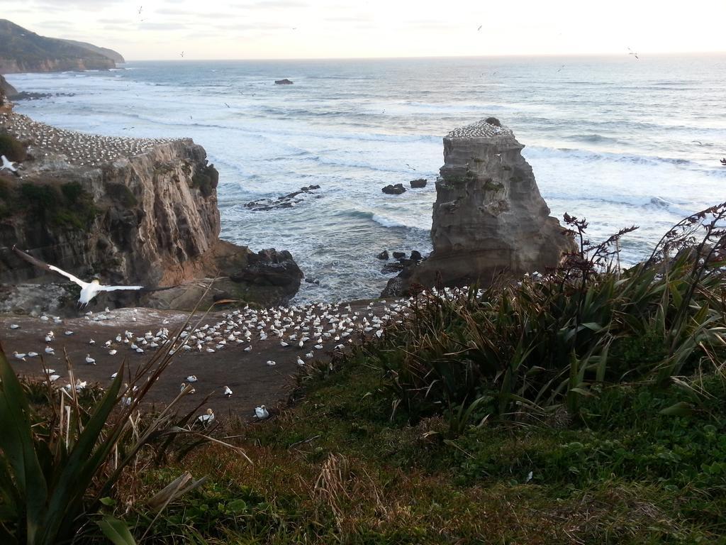 Lush & Co Bed & Breakfast Bed & Breakfast Auckland