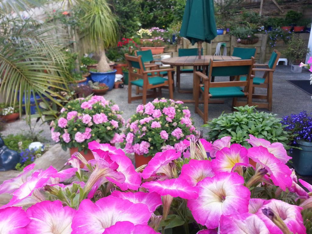 Lush & Co Bed & Breakfast Bed & Breakfast