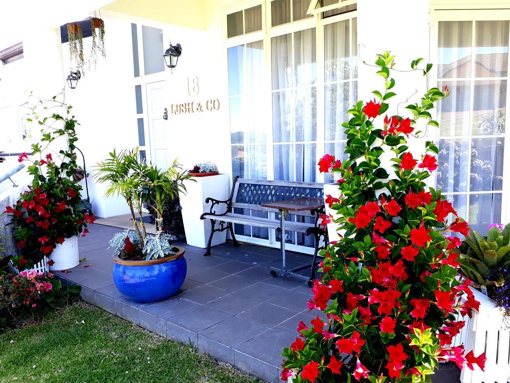 Bed & Breakfast Lush & Co Bed & Breakfast Auckland