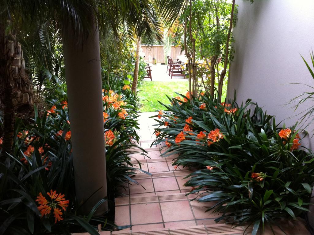 Apartment Palm Garden Auckland