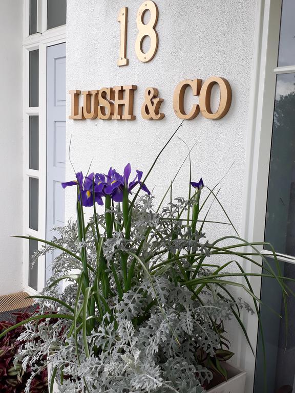 Lush & Co Bed & Breakfast Bed & Breakfast Auckland