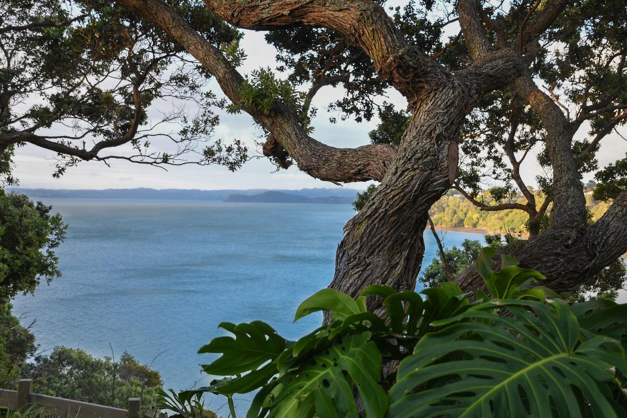 Clifftop Holiday home Auckland