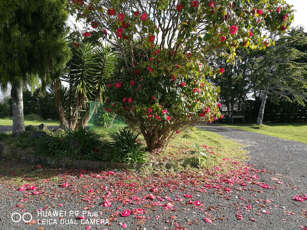 Weihai Mountain Whitford Lifestyle Villa Auckland