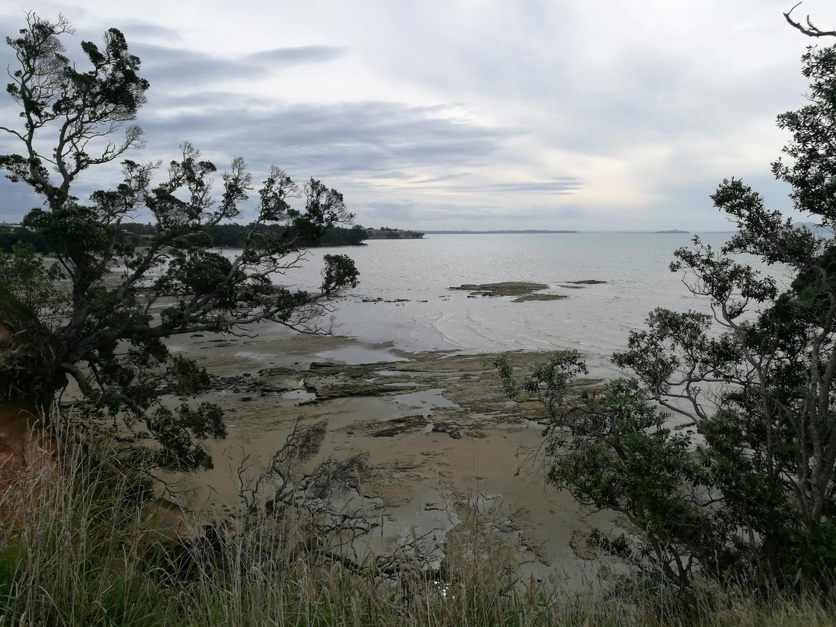 Weihai Mountain Whitford Lifestyle * Auckland