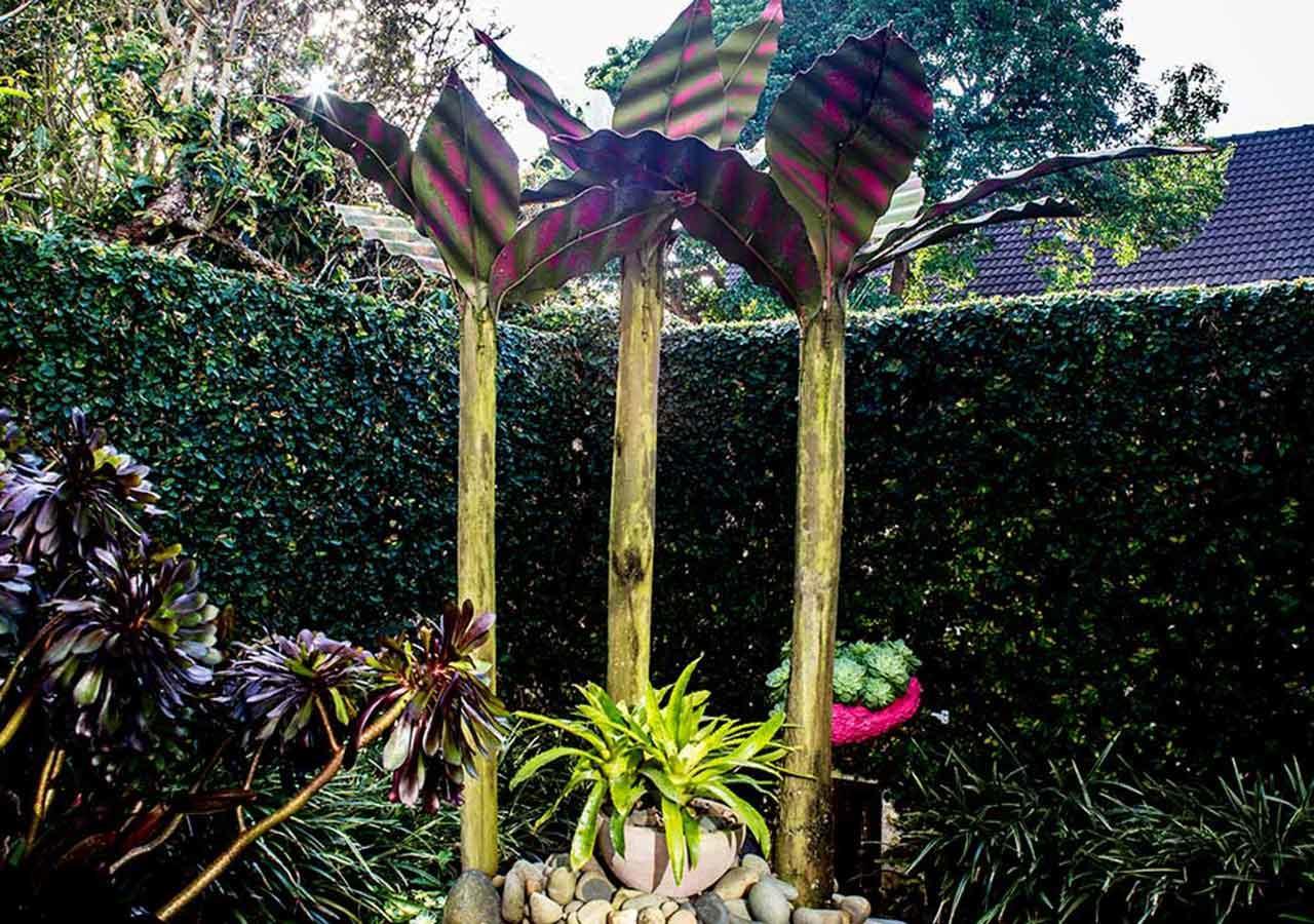 Bed & Breakfast Parnell Garden 5*
