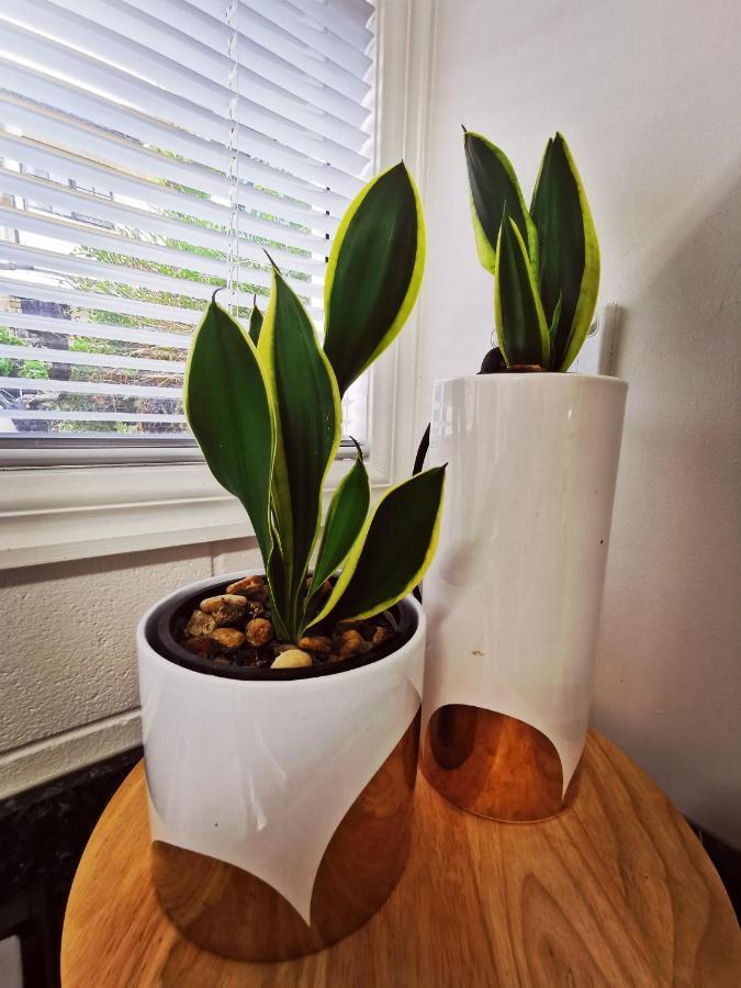 Lush & Co Bed & Breakfast Bed & Breakfast Auckland