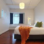 Bright And Modern Oasis In Kingsland