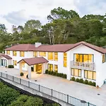 Alpaca Manor Auckland