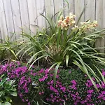 W&M Orchid House