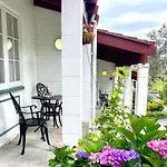 Browns Bay Olive Tree - Pet Friendly Family Apartment