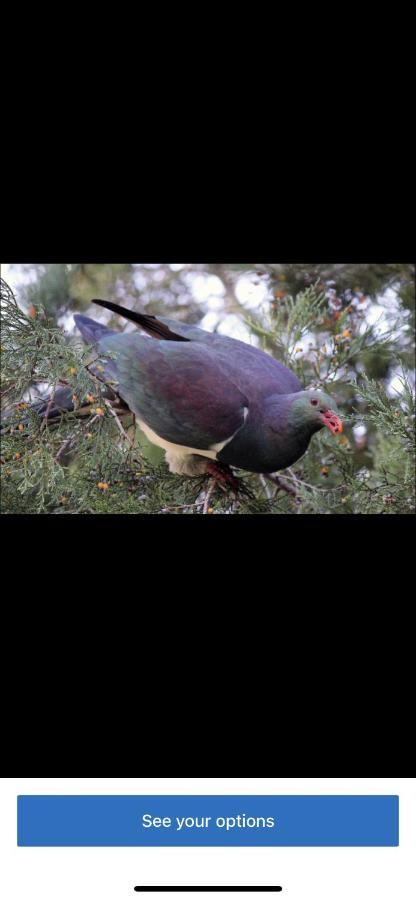 Waitakere Ranges Bed & Breakfast Auckland