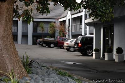 Motel Oaktree